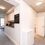 Rent a room of 143 m² in berlin