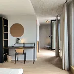 Rent 1 bedroom apartment of 35 m² in berlin