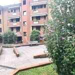 Affitto 3 camera appartamento di 110 m² in Peschiera Borromeo