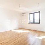 Najam 1 spavaće sobe stan od 276 m² u Zagreb