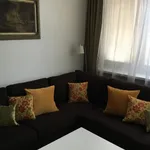 Rent 3 bedroom apartment of 85 m² in Prague