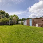 Rent 2 bedroom house in Tauranga