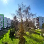 Pronájem 2+kk, 49 m², Písek - Ke Střelnici