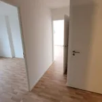 Rent 3 bedroom apartment of 66 m² in Armentières