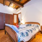 Miete 1 Schlafzimmer wohnung von 40 m² in Paradiso