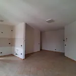 Rent 2 bedroom apartment of 71 m² in mortara