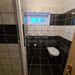 Pronajměte si 1 ložnic/e byt o rozloze 45 m² v Dolní Loučky