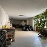 Rent 1 bedroom apartment of 800 m² in Acquanegra sul Chiese