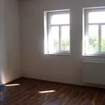 Rent 1 bedroom apartment of 25 m² in Prague