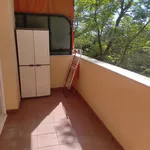 Rent 1 bedroom apartment of 57 m² in  Mairena del Aljarafe