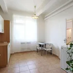 Rent 2 bedroom apartment of 35 m² in Brno