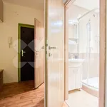 Rent 2 bedroom apartment in Ostrava