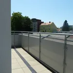 Rent 2 bedroom apartment of 51 m² in Graz