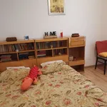 Rent 2 bedroom apartment in Lovnic