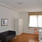 Rent a room of 200 m² in Trento