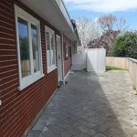 Rent 1 bedroom apartment in Tauranga