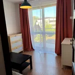 Rent 2 bedroom apartment of 42 m² in Nowy Sącz