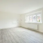 Rent 1 bedroom house of 170 m² in Praha