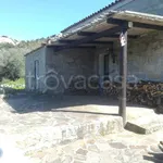 Rent 1 bedroom house of 50 m² in Arzachena