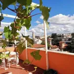 Rent 4 bedroom apartment of 150 m² in Rome