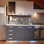 Rent 1 bedroom apartment in turin