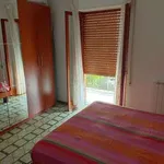 Appartamento arredato con terrazzo Centro