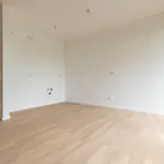 Rent 3 bedroom apartment of 102 m² in Leipzig