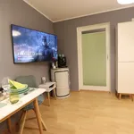 Rent 1 bedroom apartment of 37 m² in Dresden