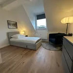 Rent 2 bedroom apartment of 48 m² in Cologne