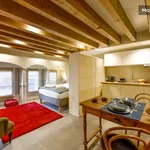 Rent 1 bedroom apartment of 25 m² in Lyon