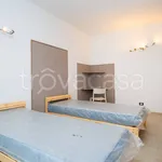 Rent 2 bedroom apartment of 55 m² in Torino