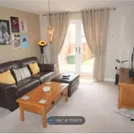 Rent 4 bedroom house in North East England