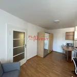 Rent 1 bedroom apartment in Capital City of Prague