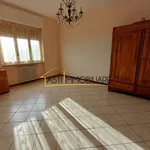 Rent 2 bedroom apartment of 55 m² in Asti