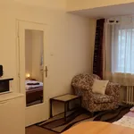 Rent 1 bedroom apartment of 32 m² in Brno