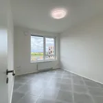 Rent 4 bedroom apartment in Capital City of Prague