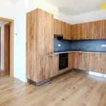 Rent 2 bedroom apartment of 69 m² in České Budějovice