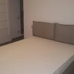 Rent 1 bedroom apartment of 55 m² in Milano MI