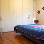 Rent a room of 75 m² in Bologna