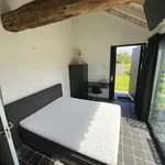 Rent 1 bedroom house of 30 m² in Verspreide huizen Kleinderliempde