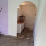 Rent 1 bedroom apartment of 45 m² in Brno