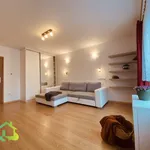 Rent 1 bedroom apartment in Kladno