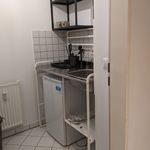 Rent 1 bedroom apartment of 30 m² in Dresden