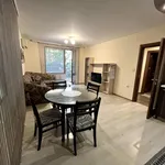 Rent 2 bedroom apartment of 60 m² in Гагарин