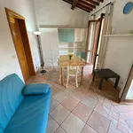 Rent 2 bedroom apartment of 50 m² in Perugia