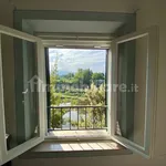 2-room flat Lungarno Trento e Trieste 21, Limite, Capraia e Limite