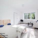 Rent 1 bedroom apartment of 38 m² in Ústí nad Labem