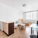 Pronajměte si 1 ložnic/e byt o rozloze 33 m² v Prague