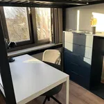 Studio of 20 m² in Binnenstad-Zuid