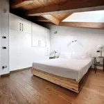 Rent 3 bedroom apartment of 70 m² in Bologna